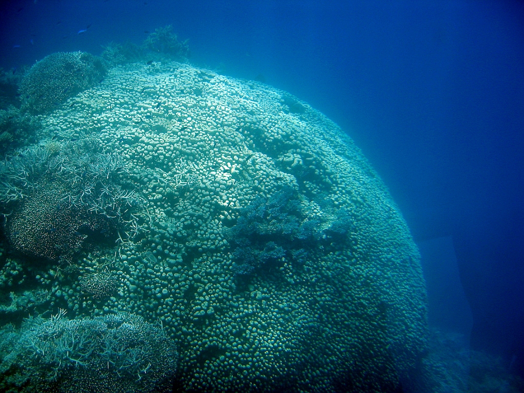 054 Great Barrier Reef.jpg